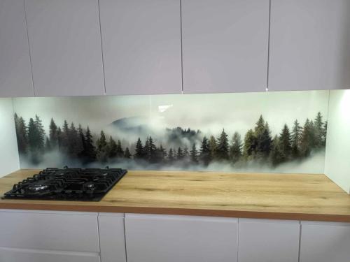 panele szklane do kuchni